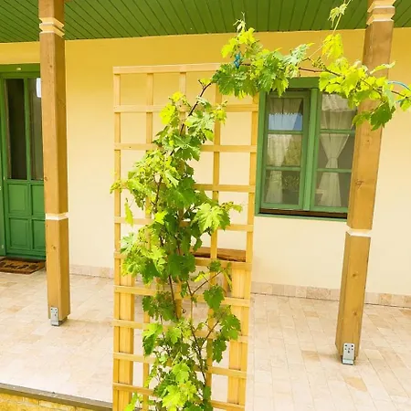 Libelula Delta - A Peaceful Between The Rivers And The Sea بيت للعطل سفنتو جيورجي